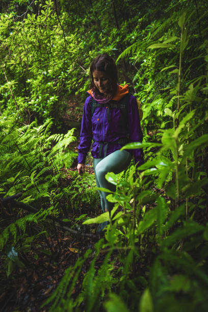 Description: Female tourist wearing a hard shell rain jacket walks up a forest path with ferns in a wet rainforest. Poco dos Pulgas waterfalls, Madeira, Portugal, Europe.