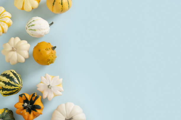 istock Autumn white and green pumpkins as pattern for Thanksgiving day or Halloween. 2178010533