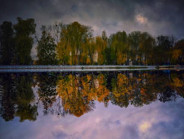 Above the lake, in Lviv, colorful colors of autumn.  Yellow, orange, green, brown, bare, crowns are reflected in a calm lake. The image is inverted.