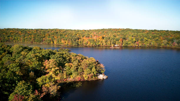 istock Early fall in the northern New Jersey forest 2178015825