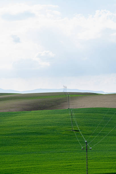 Green and brown fields between hills, with electric poles, blindingly bright sky, telephoto lens