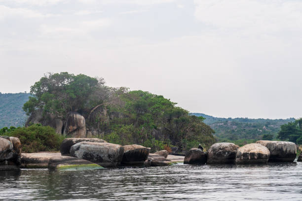 istock The rocky shore of lake victoria 2178018100
