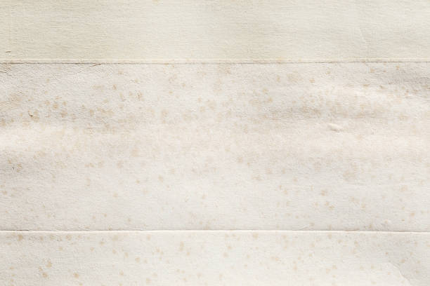 Textured old paper on white background