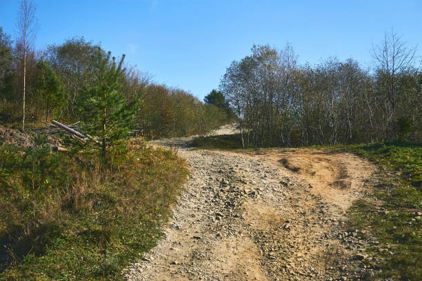 istock Hiking. Dirt country road among low growing forest 2178019552