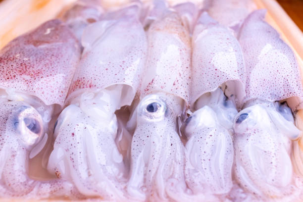 close up view of squid in two yellow plastic plate
