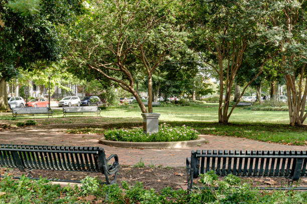 istock Park With Benches And Trees Under A Clear Blue Sky. 2178028663