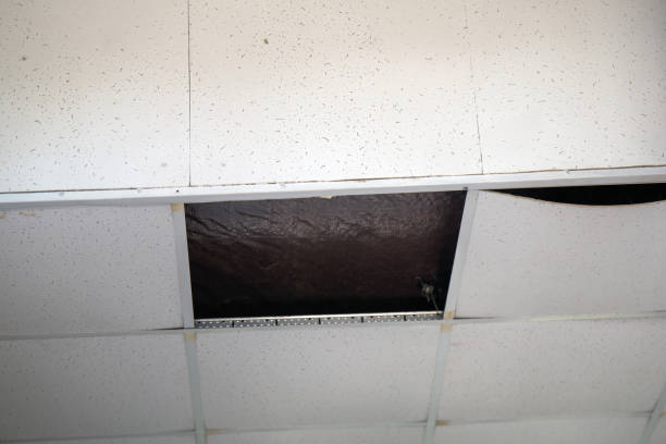 istock broken suspended ceiling, showcasing dislodged square white tiles that evoke a sense of abandonment and decay in an indoor space 2178031516