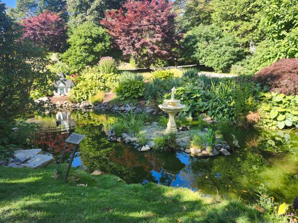 istock Garden Dreams in Summer 2178034309