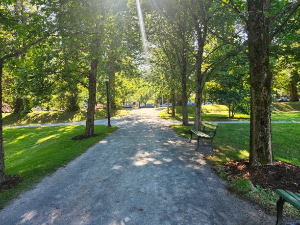 istock Garden Dreams in Summer 2178034328