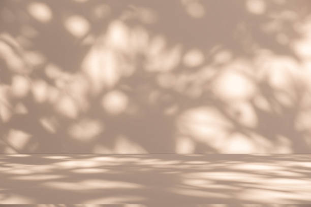 Studio style background wall decoration presentation uses white and beige tones. with shadows cast from a nearby window, concept creating a decorative
