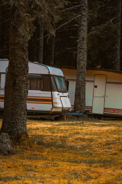istock Camping vans parked near tall trees in a natural setting 2178035737