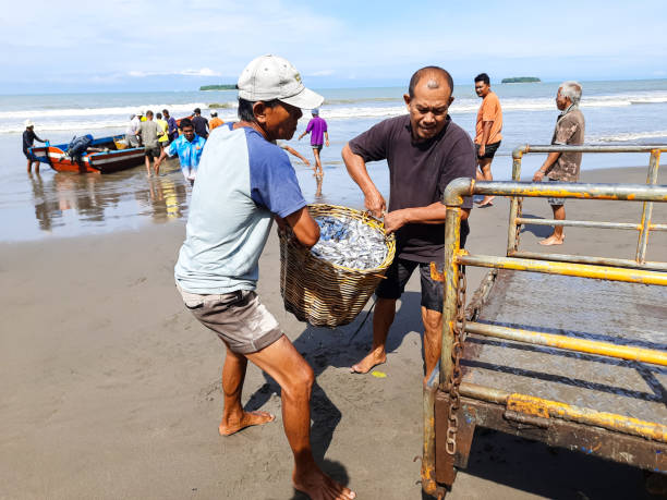 Pariaman, Indonesia - October 12, 2024: Indonesian fishermen unloading freshly caught fish from their boats at Pariaman Beach, Indonesia. This scene captures the traditional fishing activity, highlighting the local economy and community reliance on the sea.