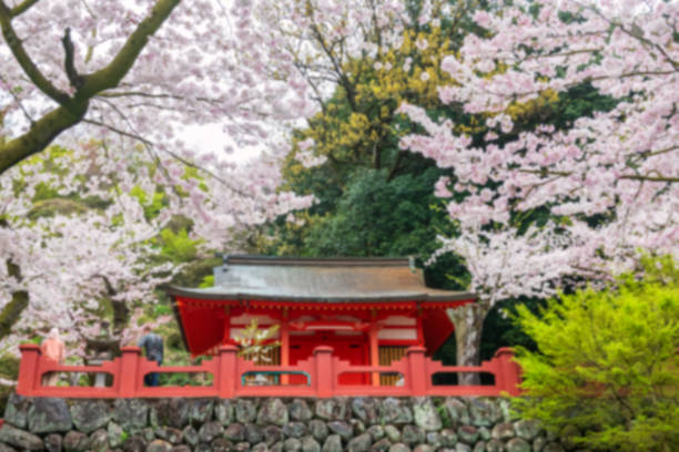 Blur view of Inari museum with beautiful pink full bloom sakura of cherry tree at spring, Kashima, Saga, Japan, Japan. Here is famous Inari shrines with Kyoto Fushimi Inari and Aichi Toyokawa.