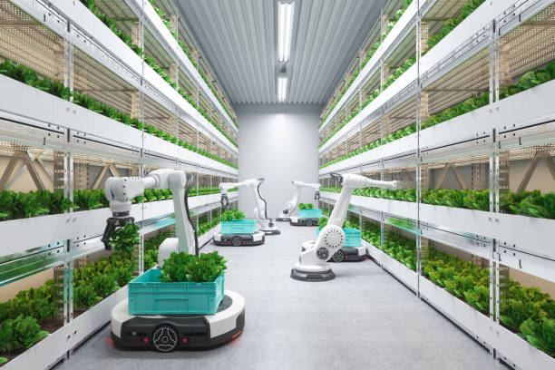 istock Automatic Agricultural Technology With Robots Harvesting Lettuce In Greenhouse 2178047208