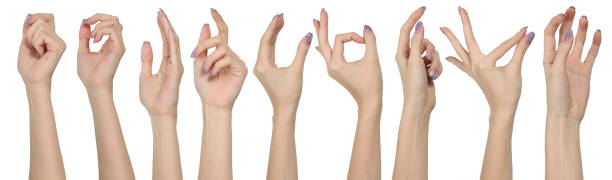 istock Set of woman hands showing different gestures, pointing and showing signs isolated on white background 2178048310