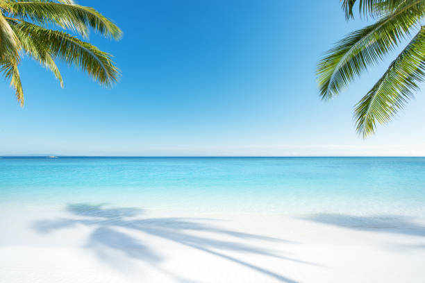 istock Tropical paradise beach scenery for background or wallpaper 2178059331