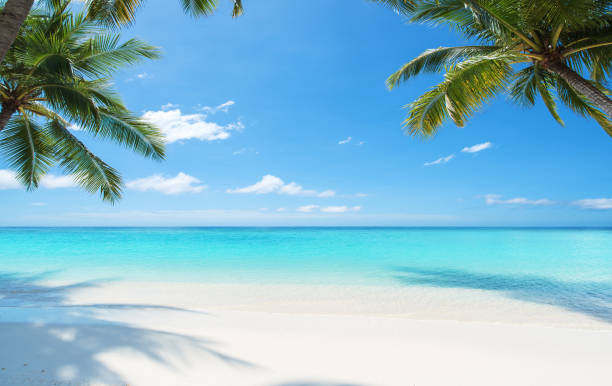 istock Tropical paradise beach scenery for background or wallpaper 2178059776