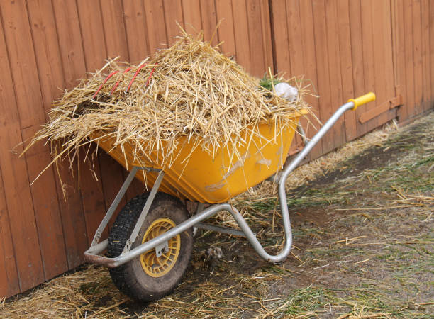 istock Mucking Out a Horse Stable. 2178065494