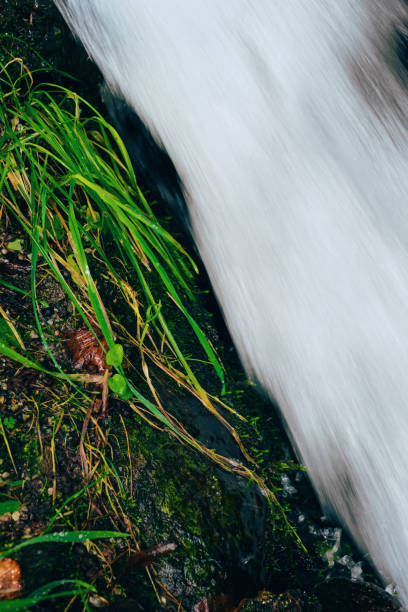 Longish exposure at the interface between water and land, as two triangles.