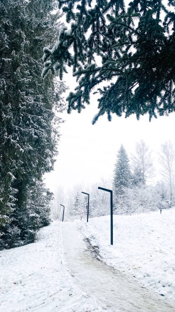 istock lanterns and a path in a snowy park 2178075503
