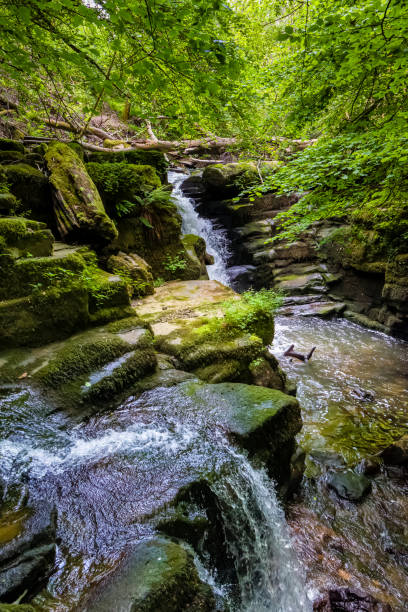 istock Waterfalls in a narrow, wooded gorge (Clydach Gorge, Wales) 2178076190