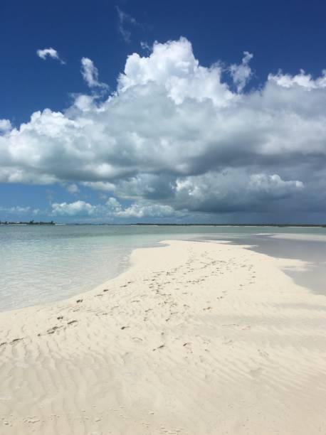 istock Stretch of Beach in Turks and Caicos 2178083293