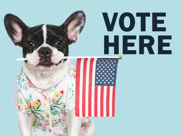 istock VOTE HERE. US Elections. 2024 Presidential Election 2178092081