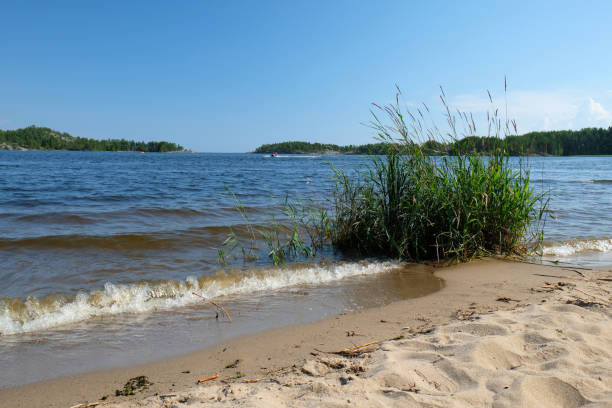 istock sandy shore of Lake Ladoga 2178100899