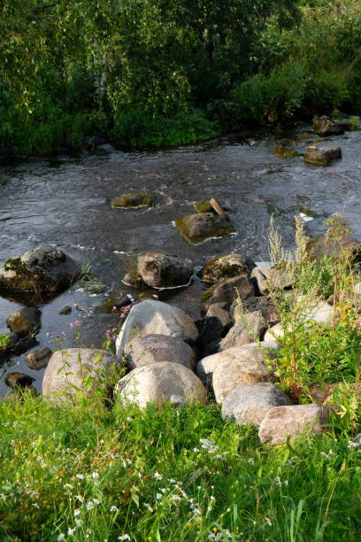 mountain river among stones and green bushes