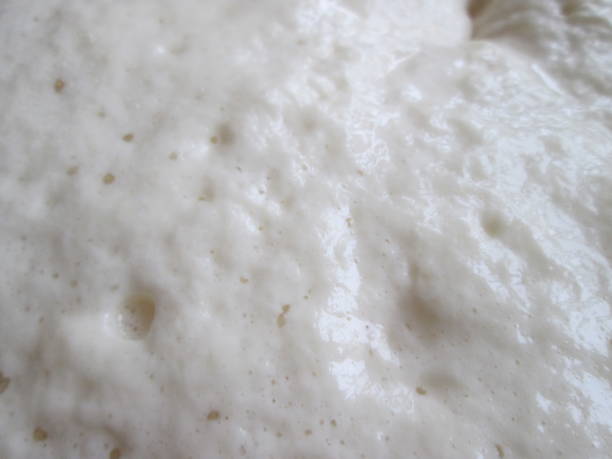 istock Dough ferments in a bowl, creating bubbles and a frothy texture as yeast activates, indicating the proofing stage in the bread-making process at home. 2178103926