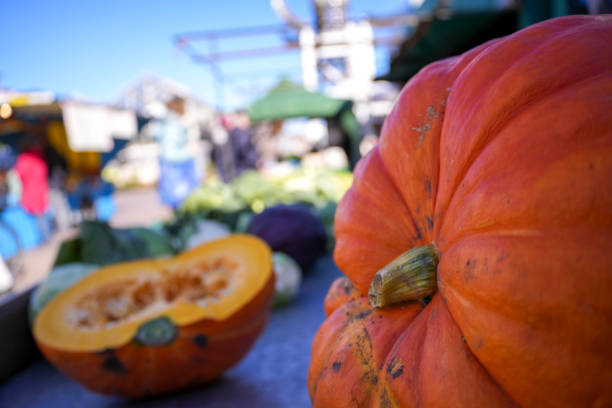 Pumpkin presented at a weekly market in northern Germany outdoor with no person. Autumn motif for Halloween and Thanksgiving