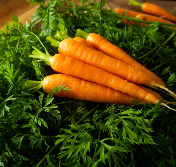 istock Close up bright orange carrots and fronds 2178107233