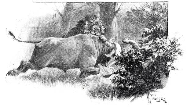 Illustration from 19th century.