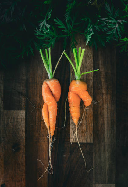 istock Two wonky ugly carrots on a wooden background. 2178107598