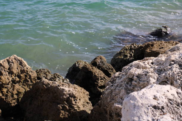 A la orilla del mar