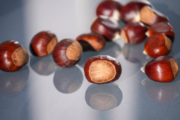 Sweet chestnut peeled on a table in sunny autumn light