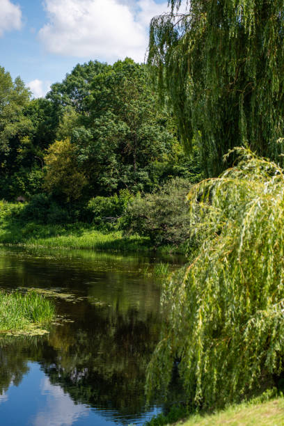 istock Tranquil river in a lush green park 2178111971