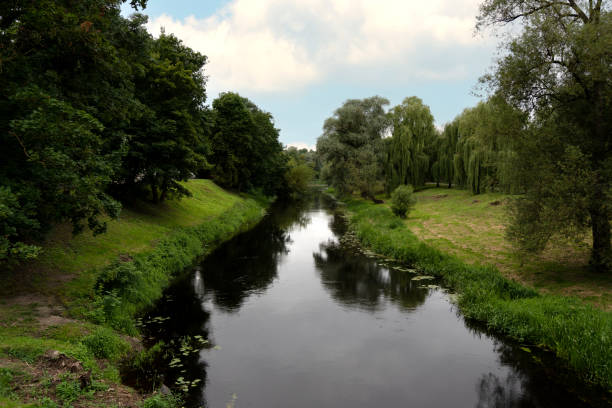 This peaceful scene features a calm river surrounded by lush greenery and vibrant trees on a sunny day. The blue sky is dotted with soft, white clouds, perfectly reflected in the water below. Overhanging willow branches frame the image, enhancing the feeling of natural serenity. The untouched nature, with its dense foliage and clear water, invites you to relax and enjoy the tranquility of the outdoors.