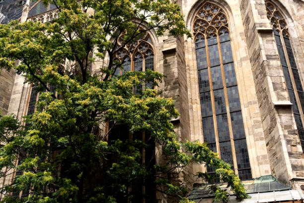 This image beautifully captures the grandeur of a cathedral', showcasing its soaring arches and intricate architectural details
