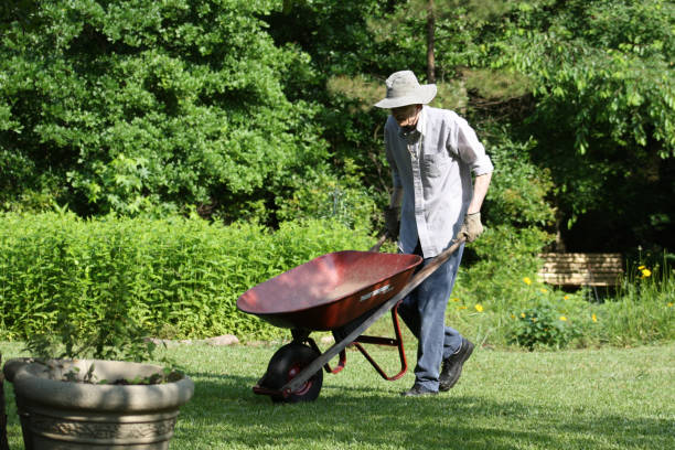 istock Senior Man Gardening 2178112255