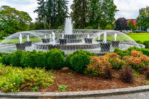 istock Washington Capitol Fountain Scene 6 2178113729