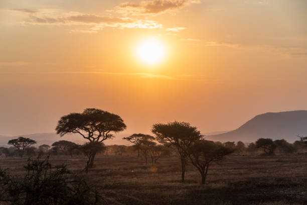 istock Sunset in the Serengeti 2178113869