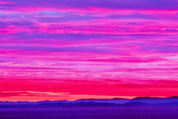 Pink, red, purple Hue Background in Nature