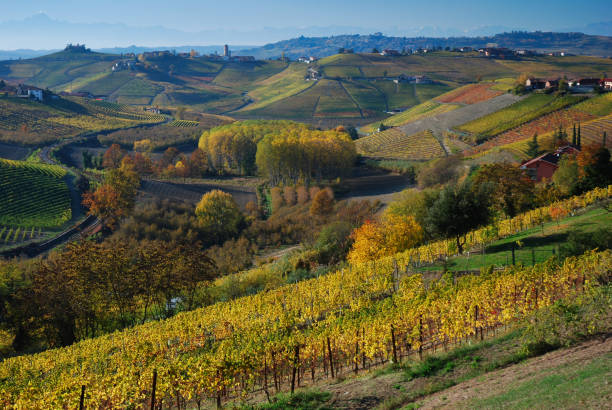 neive, langhe, provincia di cuneo, italia - langhe foto e immagini stock