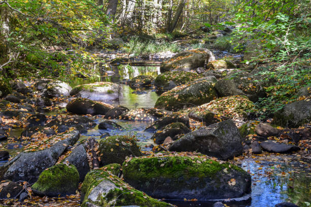 istock autumn day  along willard brook 2178116900