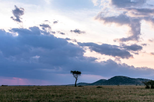 istock Kenyan Landscapes Maasai Mara 2178132411