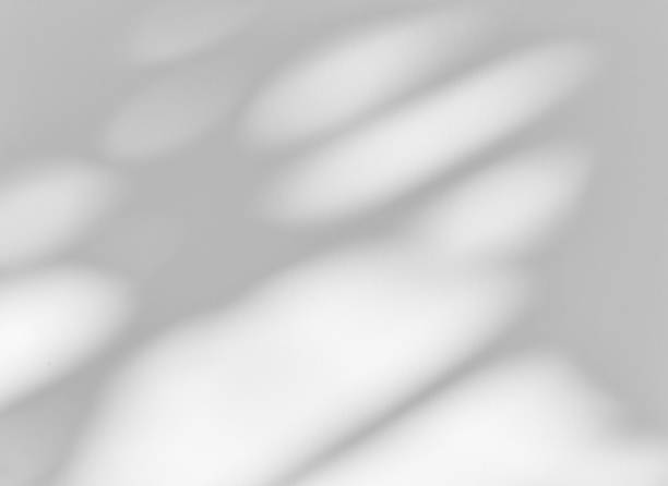istock Shadow of leaves tree plant overlay on white wall. Sunlight effect shadow on the wall. 2178132538