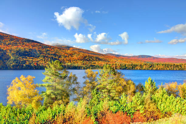 Chain of Ponds, Maine stock photo