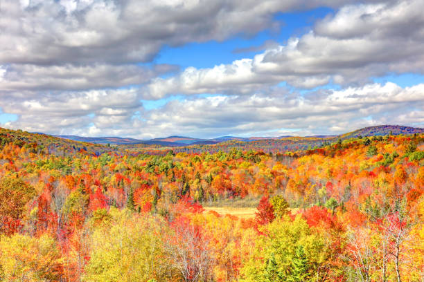 Autumn in Western Maine stock photo