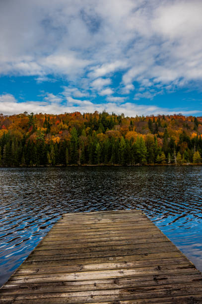 Low close-up of small wooden pier on a lake during autumn with colorful trees in background